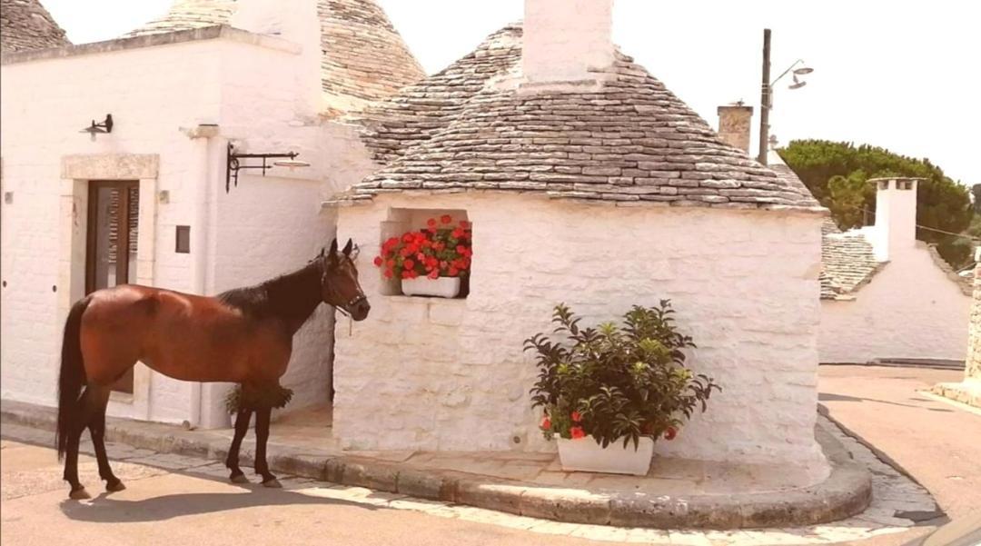 Trulli Resort Dimore Storiche Alberobello Exteriör bild